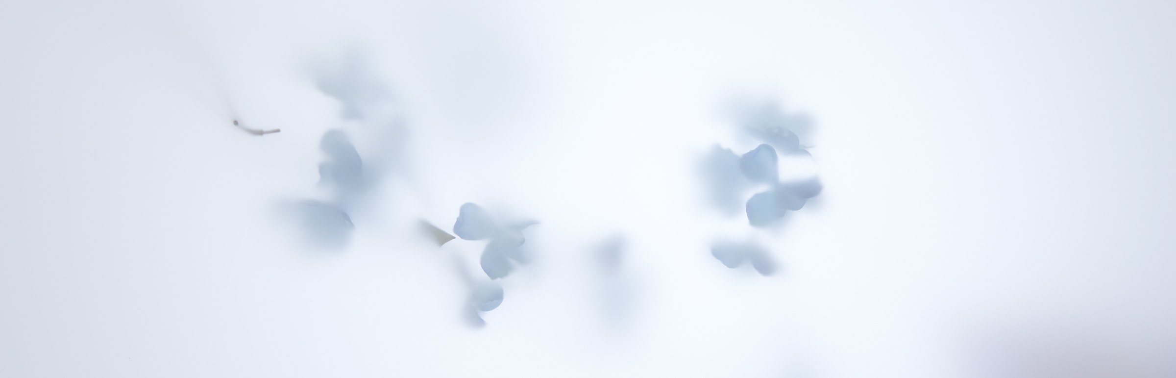 TIMAGE